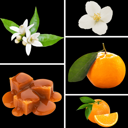 Duftnoten: Orangenblüte, Jasmin, Mandarine, Orange, Karamell